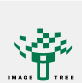 ImageTree Logo