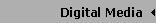 Digital Media